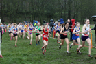 Junior girls 2019 New Balance English Schools Cross Country Champs, Temple Newsam, Leeds. Photo:  David T. Hewitson/Sports for All Pics